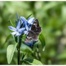 먹는 행복 이미지