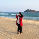 11500-22-28-12 | 12월 22일부터 12월 28일까지 주간 일기