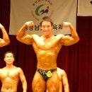 팀박피티샵 이미지