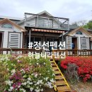 라이브 힐링 펜션 | 강원도 정선여행, 자연 속 힐링 가득한 정선펜션 하늘나라펜션 후기 🌲🌿