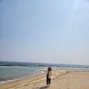 서정온천오토캠핑장 | 울진 구산 해수욕장 오토캠핑장 아이와 방문 후기