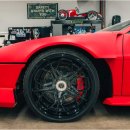 몽키개러지 이미지