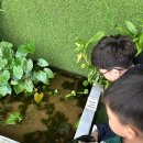 연못이 있는 집 | 아이랑 가기 좋은 영종도 실내 수족관카페 작은연못 후기