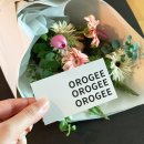 오로지(orogee) 이미지