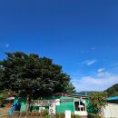 청기와 | [남양주] 술 한잔 생각나는 고깃집 청기와 후기