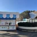 엘리시안강촌눈썰매장 티스토리