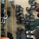 휩스 휘트니스클럽 | 대전 자양동 헬스장 비교 후기💪🏼(더존 럭셔리 vs 휩스 헬스장)