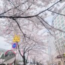 광교타로 광교사주 잘보는 곳 광교 타로앤톡 스타 후기
