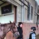 정철희 국제승마센터 이미지