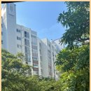 핵심 쏙쏙 국어문법 이미지