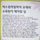 Re:미스김 라일락 유래 이미지