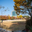 인재개발원 대운동장 네이버블로그