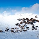 초원민박 이미지