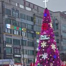 빛의 메시지 | 안산 빛의 나라 점등식 후기｜12월의 시작을 밝힌 겨울 빛 축제