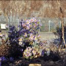 별장횟집 이미지