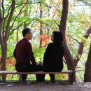 포스코백운산수련원 이미지