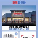 코코줌마