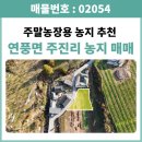 은티농장 네이버블로그