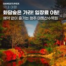 우림임업 | [무료 여행지] 화담숲은 가라! 입장료 0원! 예약 없이 즐기는 청주 미동산수목원 '찐' 가을 단풍 후기