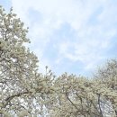 우리외가집 이미지