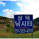 상덕낚시터 이미지