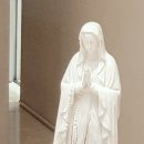 사단법인 한국문화교육협회 이미지