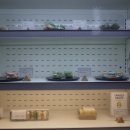 콜렉티보 안암설성점 이미지