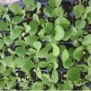 미리산길 이미지