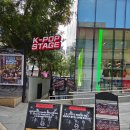 김성광 | 비 오는 날 홍대 실내 데이트 가족 볼거리 신나는 코쿤쇼