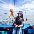 11 | 인천 쭈꾸미낚시 추천 오후 예약 후기 11월 출발