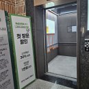 뷰티 앤 독 | 지축피부관리 순디관리 받고 피부가 맑아진, 느보뷰티 스킨앤속눈썹 후기