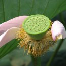 동인4가동경로당 이미지