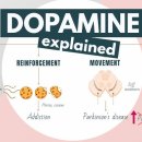 도파민(Dopamine) - 강남구 | 도파민(Dopamine)