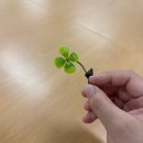 한마음복지관 | [쎄믹스] 성남시 한마음 복지관 장애인의 날 행사, 봉사 활동 생생 후기