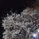 정화사 이미지