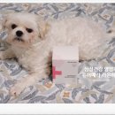 라온메딕스 이미지