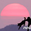 우리네축산 이미지