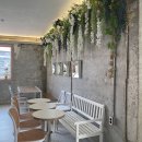 채널 트웰브 이미지