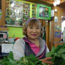 점봉산산채산나물천국 이미지