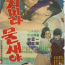 영화 포스터 - 울지마라 물새야(1964) 이미지