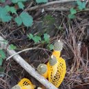 노2리마을회관 이미지