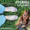 연꽃세상 | 락피시웨더웨어｜젤리슈즈 글레어 피셔맨 뮬 클리어 스타 내돈내산 양평 세미원 연꽃축제 코디 착용 후기
