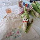 연자농장 | 동네한바퀴 안성 옥수수를 27세 청년 농부 농장 카페 정보