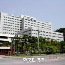 성가롤로병원 더 한국타임즈