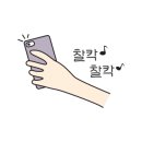커티즘바이 이미지