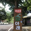 소나무숲아래 이미지