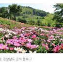 함박공원　 이미지