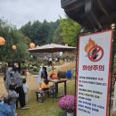진우전자 | 파주 헤이리 농원 팜크닉! 아이와 가볼 만한 곳 사자보이즈 진우 루미 코스튬 할로윈 축제 후기🎃