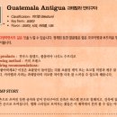 라틴커피 이미지