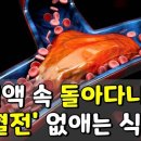 혈액 속 돌아다니는 ‘혈전(피떡)’ 없애는 식품 이미지